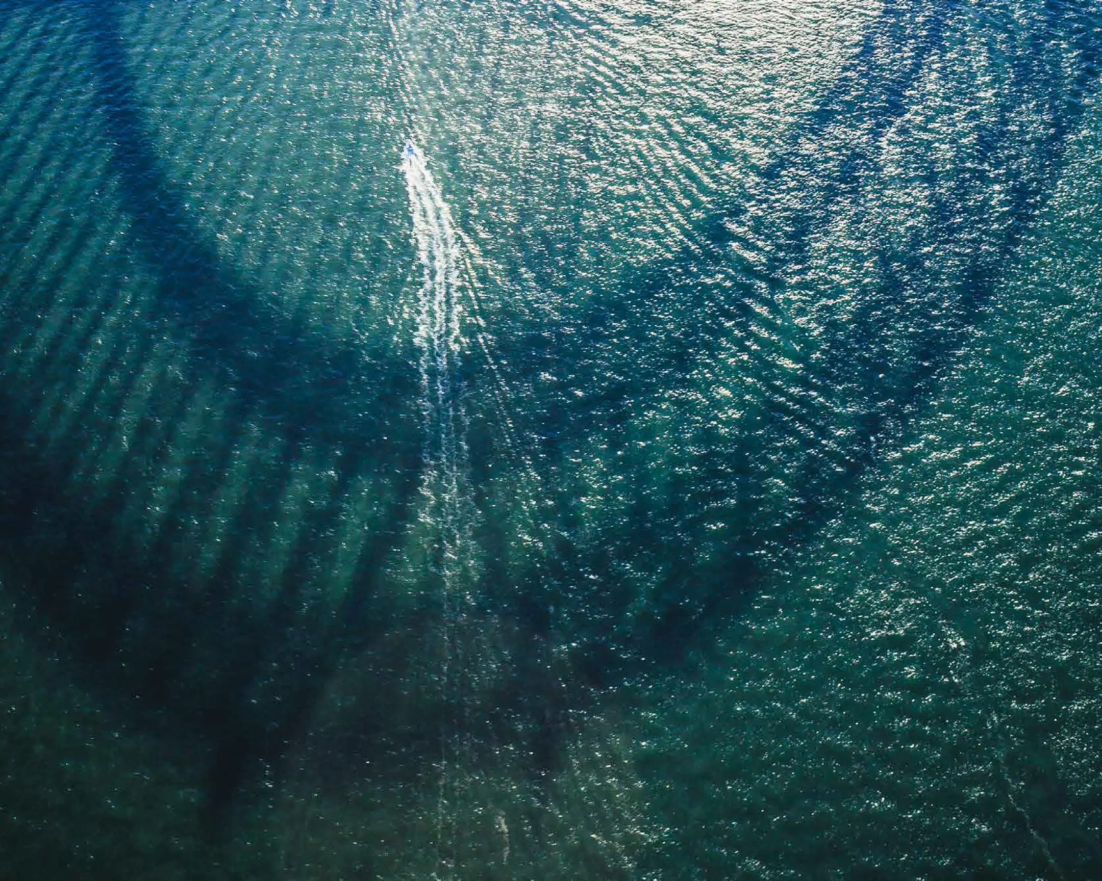 One McMahons Point location